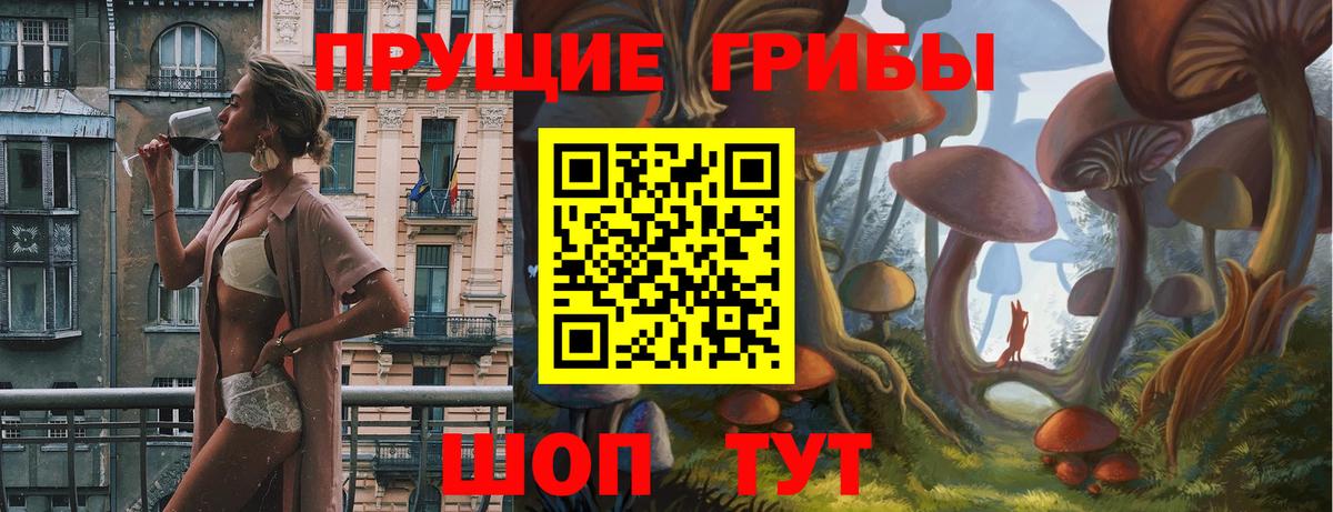 Псилоцибиновые грибы мицелий Краснокаменск