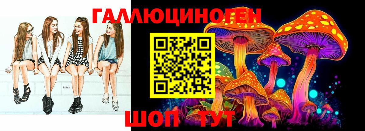 Краснокаменск  Галлюциногенные грибы Cubensis  Вход с VPN 